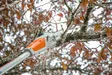 STIHL HTA 50 AKKUOKSASAHA (sis. akku ja laturi) - Stihl Akkukäyttöiset oksasahat - 124767 - 4