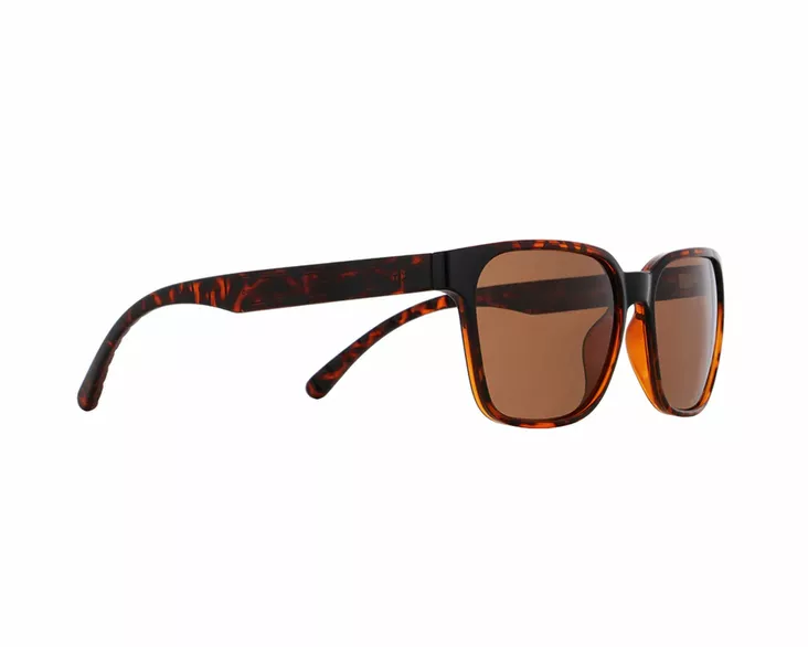 Spect Red Bull Eliot Sunglasses Shiny Havana w Brown lens - Aurinkolasit - D521887 - 1