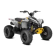 CAN-AM 23 RENEGADE 110 EFI STD - Can-Am lastenmönkijät - 125108 - 1