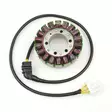 Electrosport Staattori Honda CBR1100XX 99-03 - Moottoripyörän staattorit - D118358 - 1