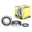 ProX Crankshaft Bearing & Seal Kit KX250F '04-20 - Moottoripyörän runkolaakerit - D160068 - 1