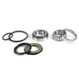 ProX Steering Bearing Kit All KTM125-950 + Husqvarna - Moottoripyörän Ohjauslaakerit - D137648 - 1