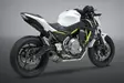 Yoshimura Full System Kawasaki Ninja / Z 650 2017-19 Race Alpha Fs Ss-Cf-Cf Work - Moottoripyörän pakoputkistot - D334308 - 1