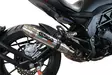 GPR Benelli 502 C 2019/20 e4 EC-Approv. slip-on exhaust Deeptone Inox - Moottoripyörän äänenvaimentimet - D425289 - 5