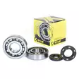 ProX Crankshaft Bearing & Seal Kit KX250 '87-01 - Moottoripyörän runkolaakerit - D160069 - 1