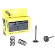 ProX Steel Exhaust Valve/Spring Kit YZ/WR450F '03-09 - Moottoripyörän kannen venttiilit - D137949 - 1