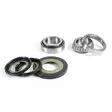 ProX Steering Bearing Kit RM-Z250 '08-16 - Moottoripyörän Ohjauslaakerit - D137659 - 1